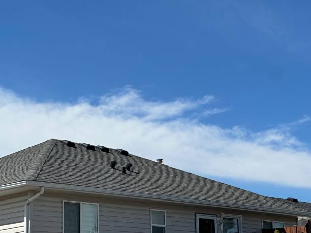 Roof Insulation Installation in Edgefield, SC